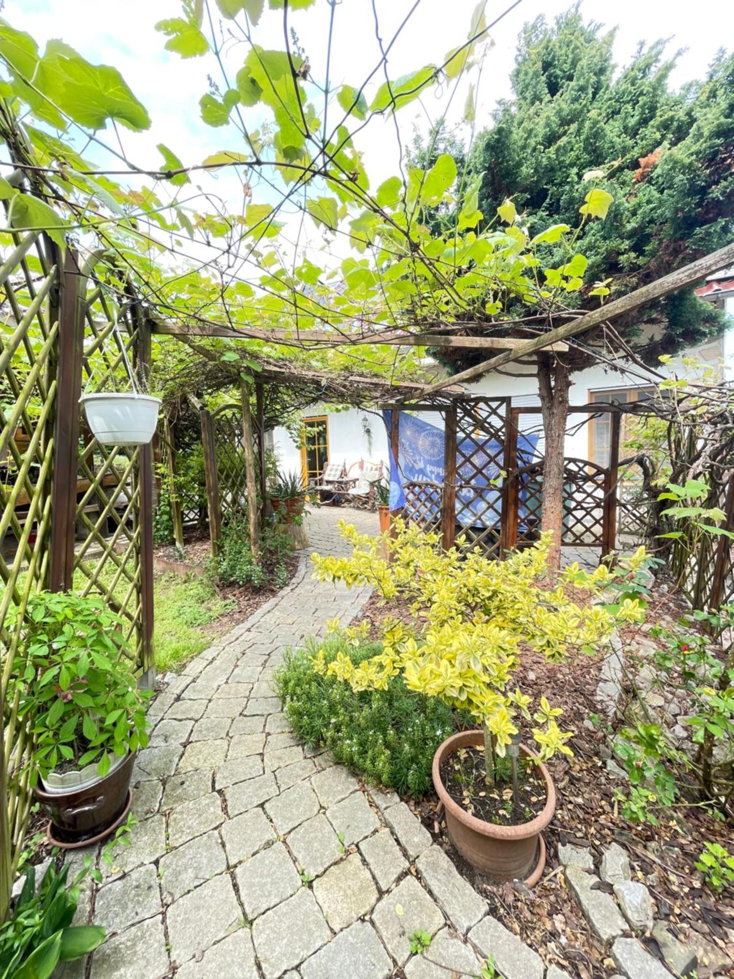 Innas Ambiente Hehlen エクステリア 写真